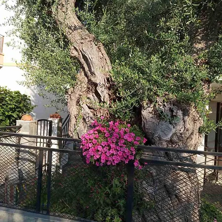 Aegean Balcony Holiday home